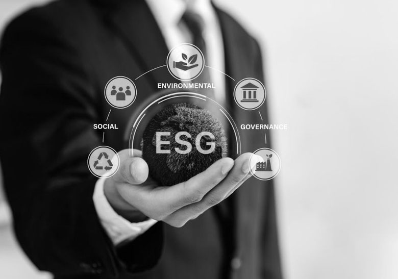 Why ESG Investing is Reshaping Business Strategy (And How to Adapt) [2025 Guide]